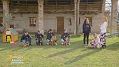 L'importanza di educare i cuccioli