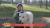 Cosa ti piace fare insieme al tuo pet?