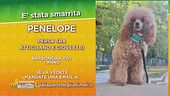 Ritroviamo Penelope