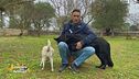 Salvare gli animali randagi