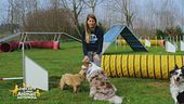 Impariamo divertendoci: il cane che salta addosso