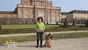 Viaggio in Piemonte con il cane