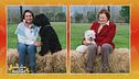 Due simpaticissimi cani a confronto