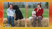 Due simpaticissimi cani a confronto