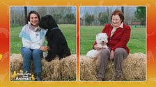 Due simpaticissimi cani a confronto