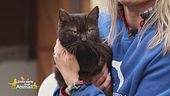 Micio, un gattone speciale