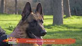 Le parole del cuore del tuo cane