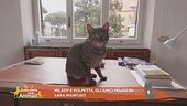 Milady e Polpetta, gli amici pelosi di Sara Manfuso
