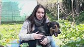 Il piccolo ranch sardo di Isabella Marceddu