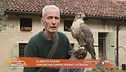 Alberto Fagan, l'uomo dei rapaci