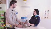 L'alimentazione dei gatti sterilizzati