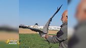 L'airone rinato