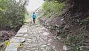 Viaggio in Piemonte con il cane