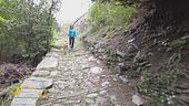 Viaggio in Piemonte con il cane