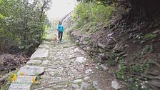 Viaggio in Piemonte con il cane