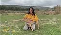 L'impegno di Francesca per i cani randagi