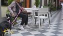 Viaggiare in Piemonte con il proprio cane