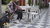 Viaggiare in Piemonte con il proprio cane