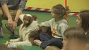 Il centro benessere per i cani e i loro amici umani