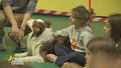 Il centro benessere per i cani e i loro amici umani