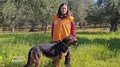 La storia di Erica Franco