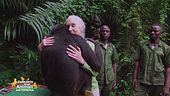 Jane Goodall, una vita dedicata agli scimpanzè