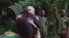 Jane Goodall, una vita dedicata agli scimpanzè