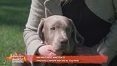 Hai trovato amici o amore grazie al tuo pet?