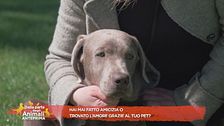 Hai trovato amici o amore grazie al tuo pet?