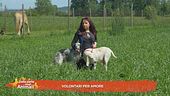 Volontari per amore