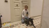 Le domande dei bambini