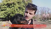 Il gioco più bello che fai con il tuo cane?