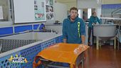 Viaggio in Emilia-Romagna con il cane: le mete da non perdere