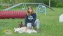 Come insegnare il cane a salire le scale a chiocciola