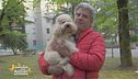 Assomigliano di più i padroni ai propri cani o viceversa?