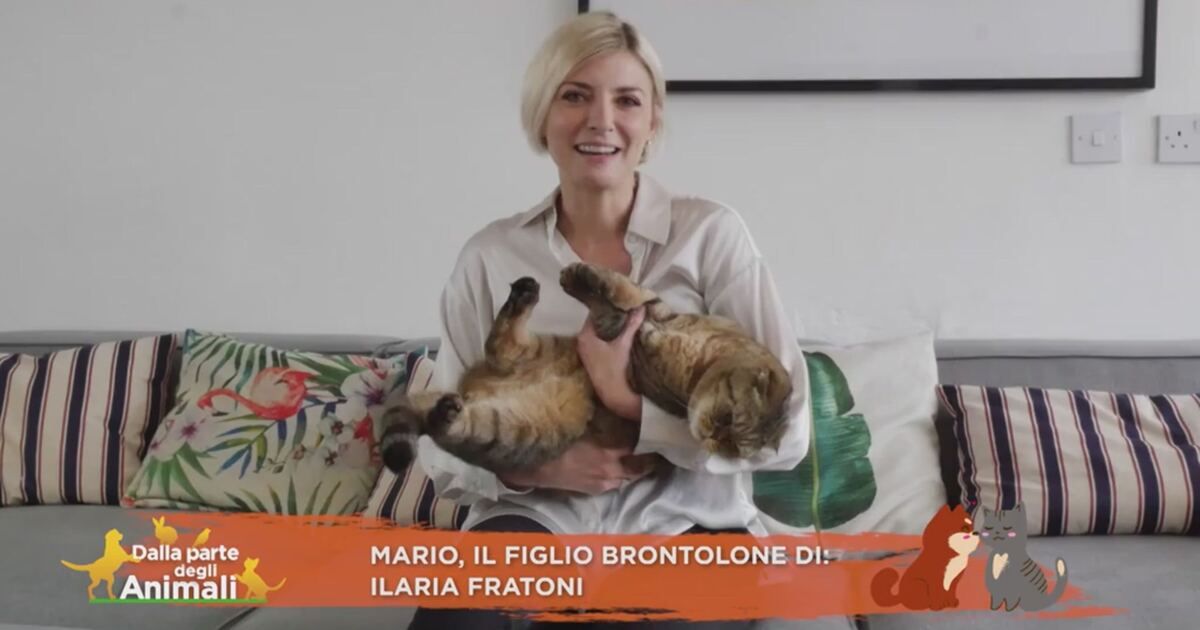 Dalla parte degli animali: Mario, il figlio brontolone di: Ilaria ...