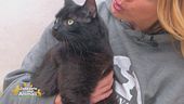 Black Panther