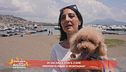 In vacanza con il cane preferite mare o montagna?