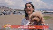 In vacanza con il cane preferite mare o montagna?