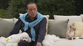 Silvio Berlusconi sugli allevamenti intensivi