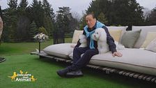La gioia della convivenza con un animale