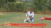 Volontari per amore