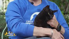 Baghera