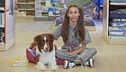 Pet lovers in azione!