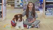 Pet lovers in azione!