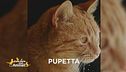 E' stata smarrita Pupetta