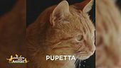 E' stata smarrita Pupetta