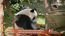 Notizie dal mondo con Lucky
