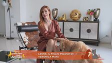 Leone, il figlio peloso di: Veronica Maya