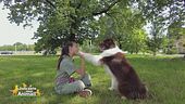 I snack per i cani